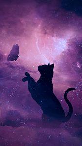 Galaxy cat animals HD wallpaper  Peakpx