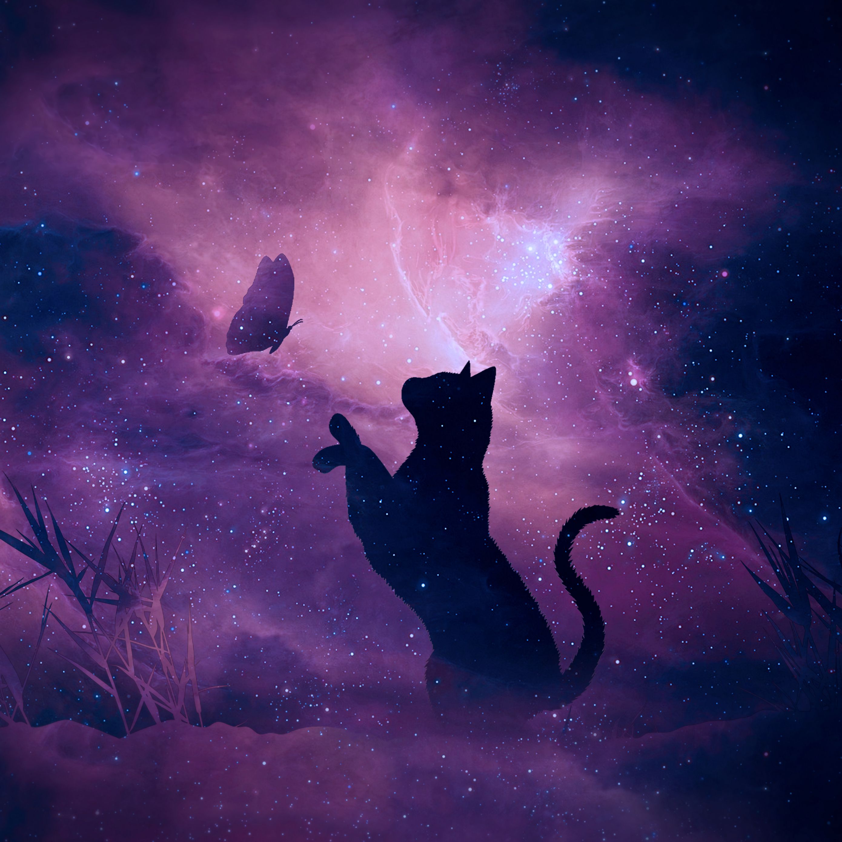 Hình nền mèo đen lông xù: Những hình nền với hình ảnh mèo đen lông xù sẽ khiến bạn cảm thấy thư thái và thoải mái. Hãy tải xuống những hình nền đáng yêu này để làm mới màn hình điện thoại của bạn.