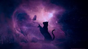 Preview wallpaper cat, silhouette, butterfly, starry sky, galaxy, stars, shine