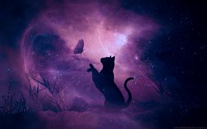 Preview wallpaper cat, silhouette, butterfly, starry sky, galaxy, stars, shine