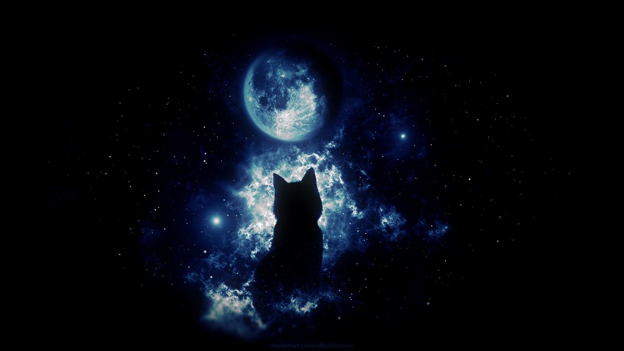 Wallpaper cat, silhouette, moon, starry sky, art, fantasy