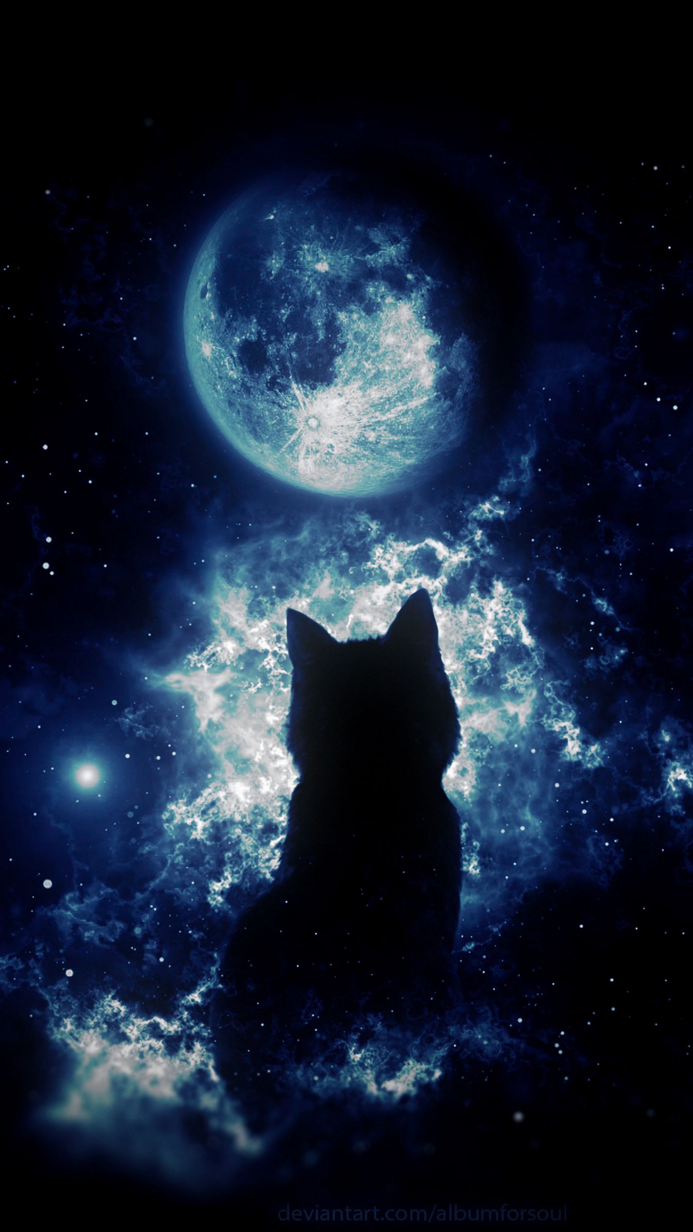 Nhìn ngắm những hình ảnh về mèo đen xinh đẹp như thật sẽ khiến bạn đắm chìm vào không gian này mãi mãi. Các tư thế ngủ, những cái nhìn ngớ người, đôi tai tai cùng với bộ lông đen bóng sẽ khiến bạn chú ý tới hình ảnh mèo đen ngay lập tức. 