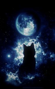 Preview wallpaper cat, silhouette, moon, starry sky, art, fantasy