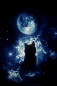 Preview wallpaper cat, silhouette, moon, starry sky, art, fantasy