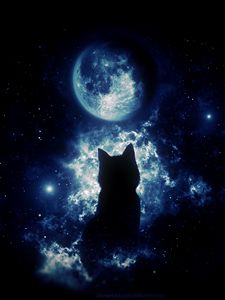 Preview wallpaper cat, silhouette, moon, starry sky, art, fantasy