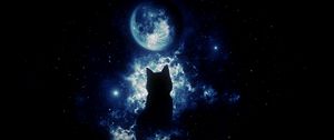 Preview wallpaper cat, silhouette, moon, starry sky, art, fantasy