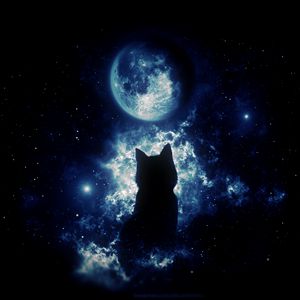 Preview wallpaper cat, silhouette, moon, starry sky, art, fantasy