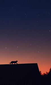 Preview wallpaper cat, silhouette, pet, roof, stars
