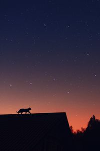 Preview wallpaper cat, silhouette, pet, roof, stars