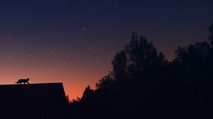 Preview wallpaper cat, silhouette, pet, roof, stars