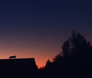 Preview wallpaper cat, silhouette, pet, roof, stars