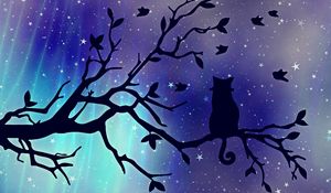 Preview wallpaper cat, silhouette, starry sky, branch, art