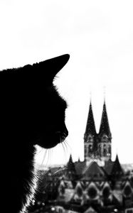 Preview wallpaper cat, silhouette, towers, black and white