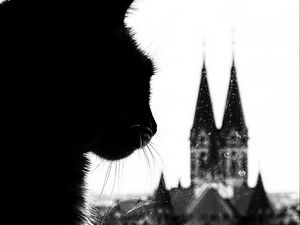 Preview wallpaper cat, silhouette, towers, black and white