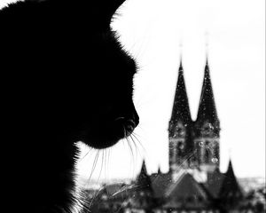 Preview wallpaper cat, silhouette, towers, black and white