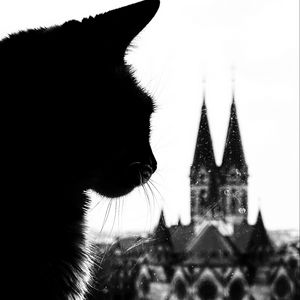 Preview wallpaper cat, silhouette, towers, black and white