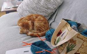 Preview wallpaper cat, sleep, animal, pet, brown