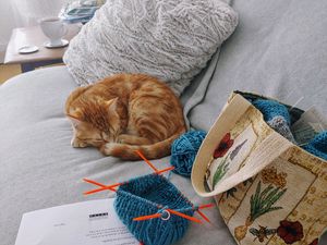 Preview wallpaper cat, sleep, animal, pet, brown