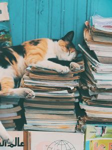 Preview wallpaper cat, sleep, magazines, relax, books