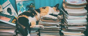 Preview wallpaper cat, sleep, magazines, relax, books