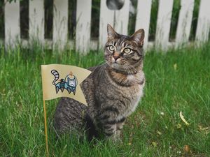 Preview wallpaper cat, small flag, grass
