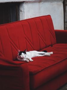 Preview wallpaper cat, sofa, lies