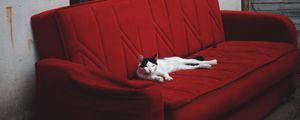 Preview wallpaper cat, sofa, lies