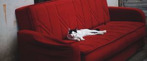 Preview wallpaper cat, sofa, lies