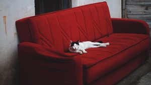 Preview wallpaper cat, sofa, lies