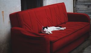 Preview wallpaper cat, sofa, lies