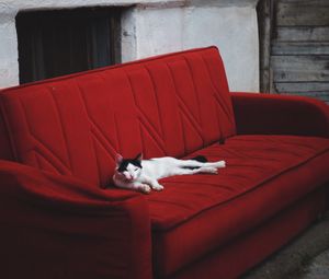 Preview wallpaper cat, sofa, lies