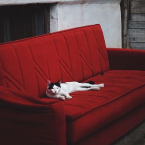 Preview wallpaper cat, sofa, lies