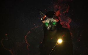 Preview wallpaper cat, staff, magic, art