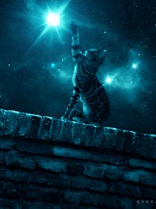 Preview wallpaper cat, starry sky, night, stars, paw