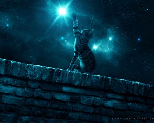 Preview wallpaper cat, starry sky, night, stars, paw