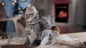 Preview wallpaper cat, striped, ribbon, playful