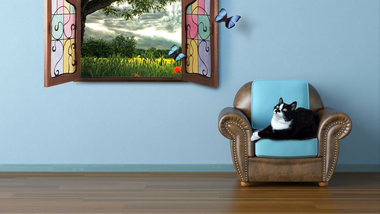 Wallpaper cat, summer, window, watching, fairy tale, butterfly