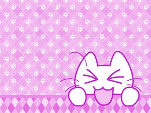 Download Wallpaper 800x600 Cat Protruding Tongue Hide Funny Pocket Pc Pda Hd Background