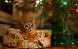 Preview wallpaper cat, tree, gift, garland, waiting