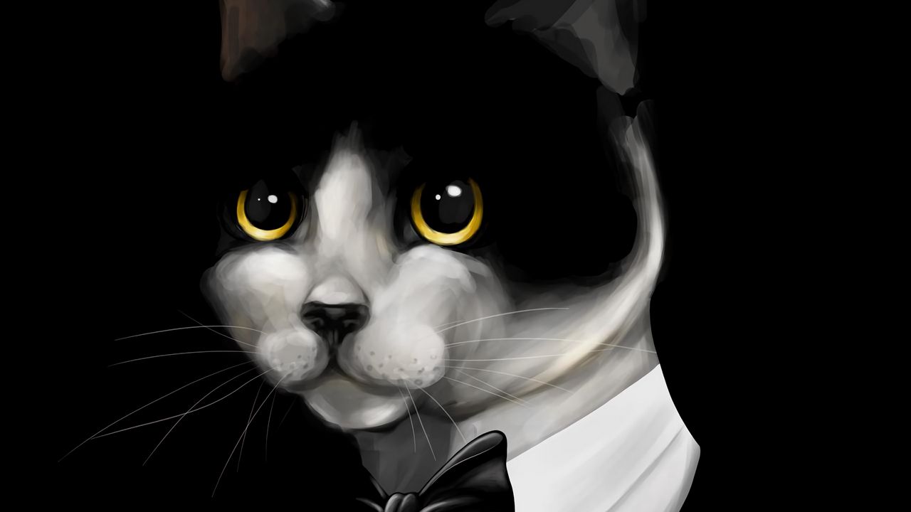 Wallpaper cat, tuxedo, pet, black, art