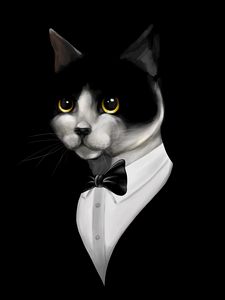 Preview wallpaper cat, tuxedo, pet, black, art