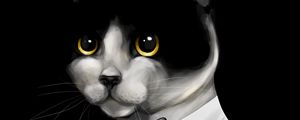 Preview wallpaper cat, tuxedo, pet, black, art