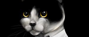 Preview wallpaper cat, tuxedo, pet, black, art