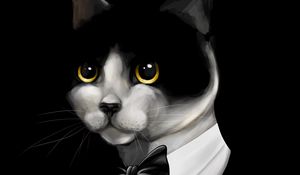 Preview wallpaper cat, tuxedo, pet, black, art