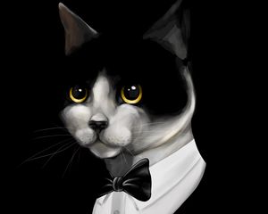 Preview wallpaper cat, tuxedo, pet, black, art
