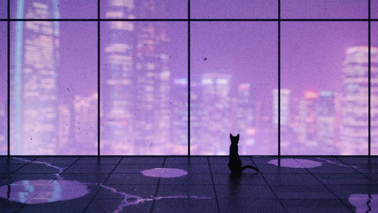 Wallpaper cat, window, city, overview, art