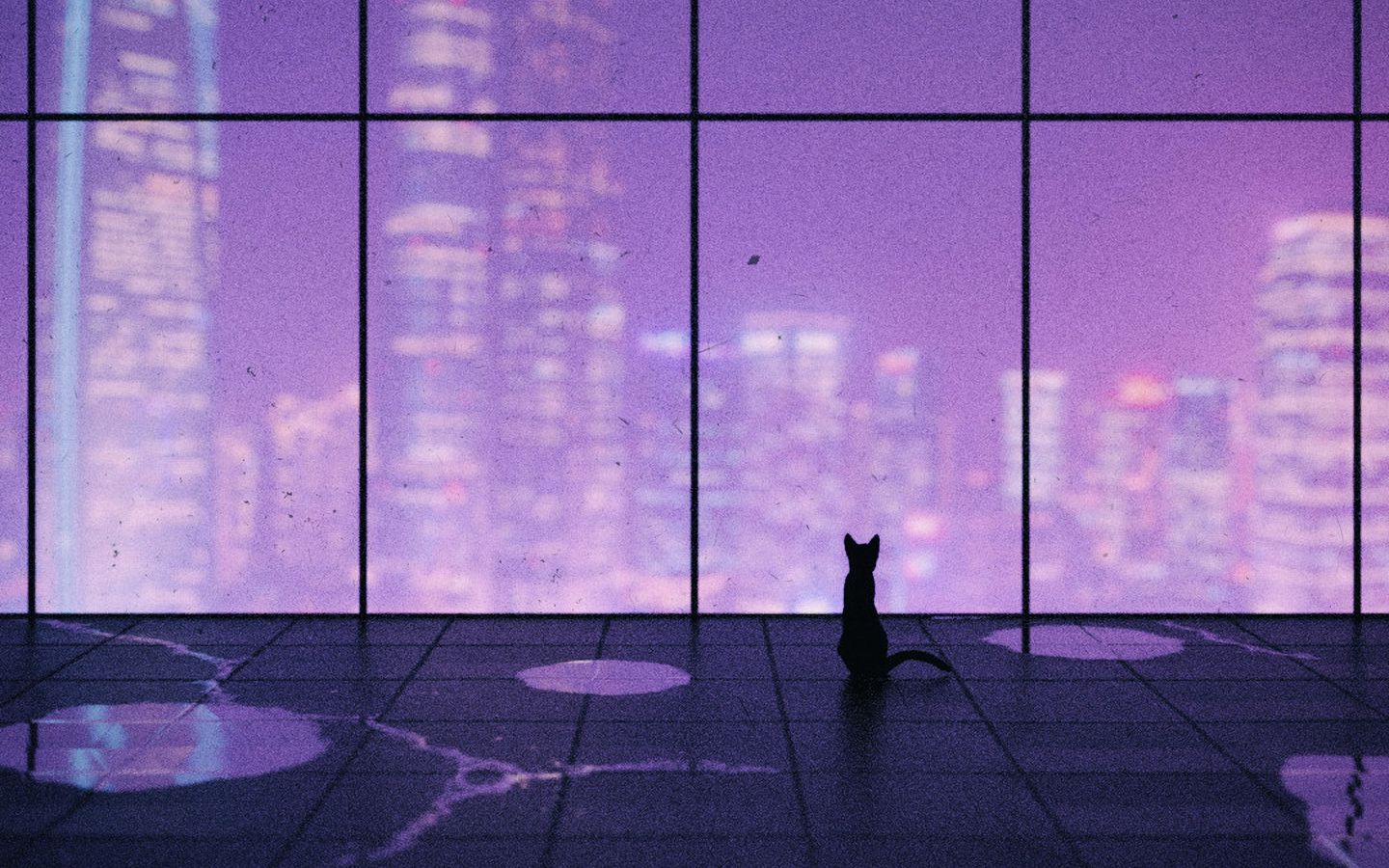 Windows 7 User acount picture cat wallpaper (1920x1200) | Cat wallpaper,  Cute cat wallpaper, Cat pics