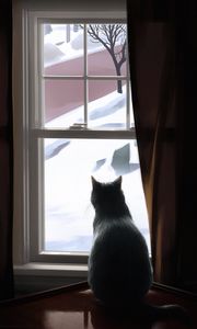 Preview wallpaper cat, window, winter, comfort