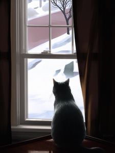 Preview wallpaper cat, window, winter, comfort