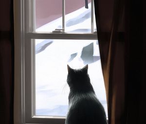 Preview wallpaper cat, window, winter, comfort